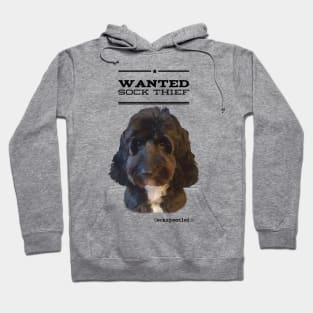 Cockapoo / Doodle Dog Sock Thief Hoodie